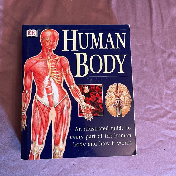 The Human Body educational book - Picture 1 of 2